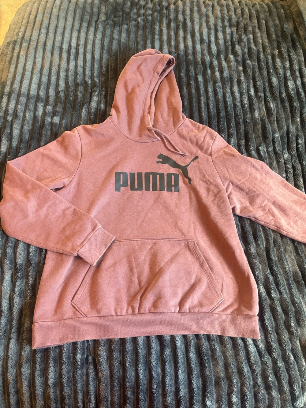 Puma Logo Hoodie in Dusty Rose
